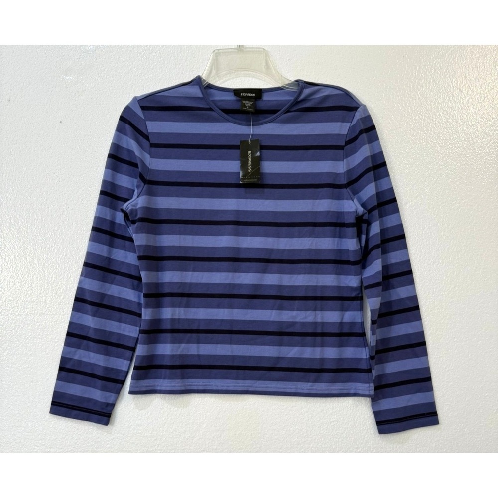 NWT Express Size Large Purple Stripe Crewneck Long Sleeve Stretch T Shirt Crop